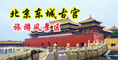 操女人的浪逼视频中国北京-东城古宫旅游风景区